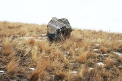 A boulder resting on a hillside